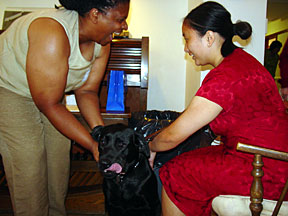Puppy raiser laughing when greeting black lab and graduate in lounge