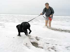Cynthia and Marikay in the ocean up to their knees