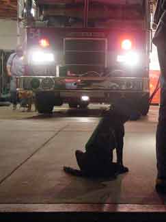 Cynthia sitting in front of a parked fire truck with all lights on and the engine runnning.