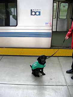 Cynthia sitting in front of a commuter train car waiting to board.