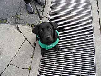 Cynthia sitting on  a sidewalk grate that is real big.