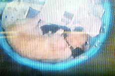 Alda in children's plastic swimming pool with puppies